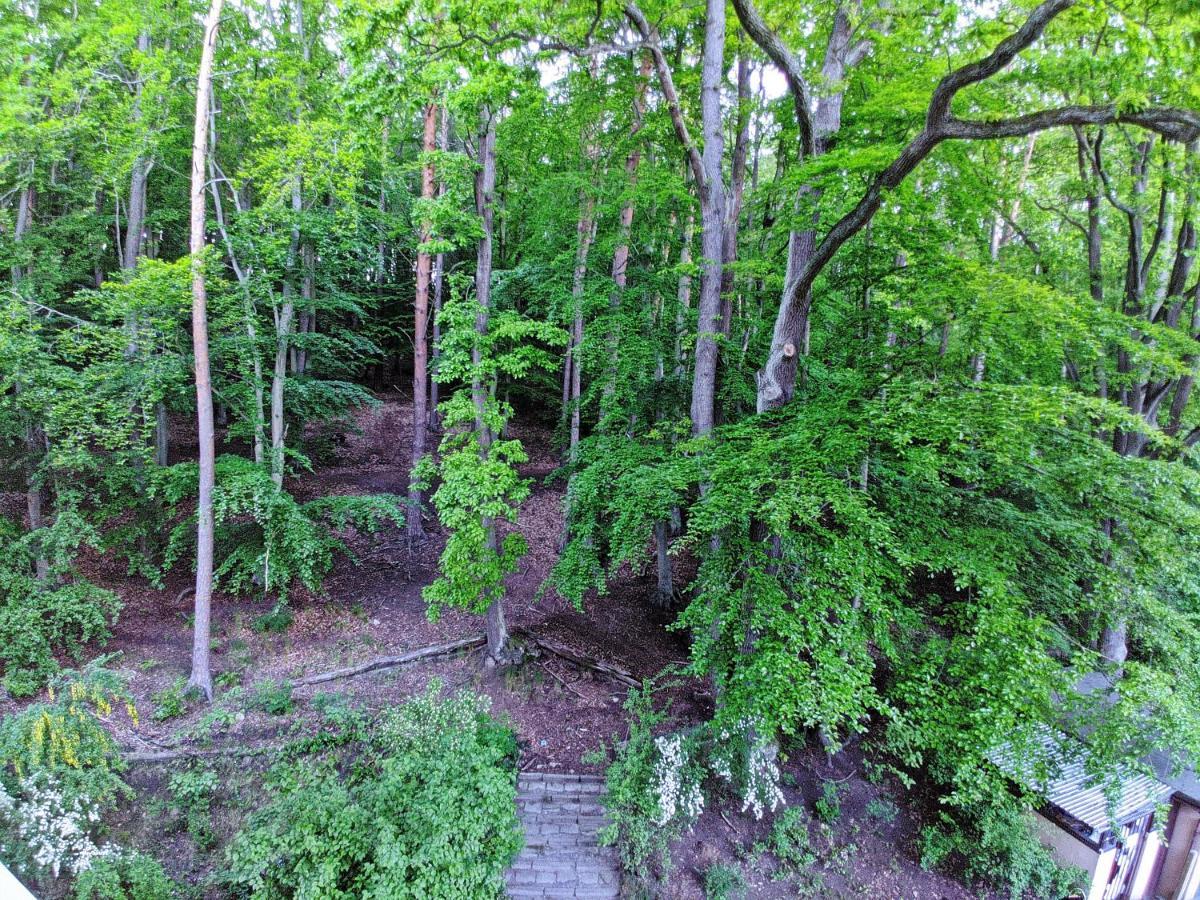 "Near The Forest" Apartment سوبوت المظهر الخارجي الصورة